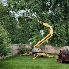 Tree Removal and Landscaping Services